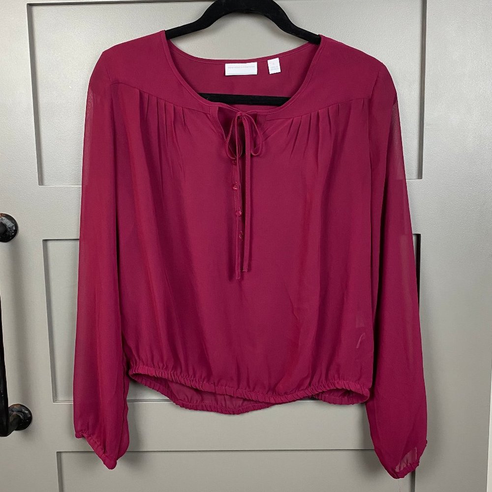 Sheer Burgundy NY&Co Long Sleeve Tie Top